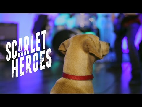 Scarlet Heroes - Headway [OFFICIAL VIDEO]