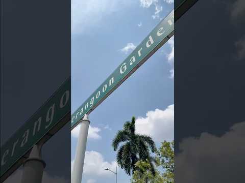 Serangoon Semi-D Near MRT, NEX & School, , 4 Bedrooms, 2,550 sqft, Semi-Detached House For Rent, by Jeremy Pher, 500235580 - PropertyGuru.com.sg