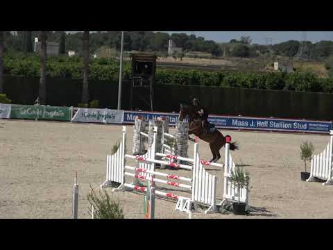 Indeed- CES II 26/03/19