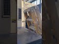 Riproduci video