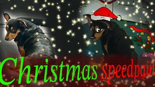 Merry Christmas everybody 