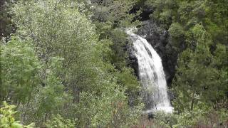 preview picture of video 'Inchree Falls near Onich'