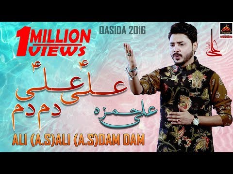 Ali Ali Dam Dam - Ali Hamza | Qasida Mola Ali A.S - New Qasida - 2016