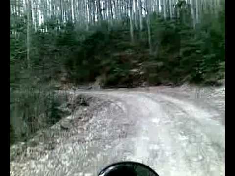 nebunii in cautarea ursului=))