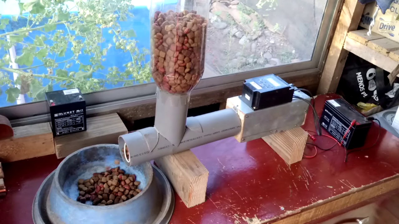 Dispensador automático de alimento para mascotas parte 3 (sinfín y entrada alimento)