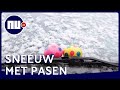 Nederland na zonnige dagen verrast met sneeuwval op Paasmaandag | NU.nl