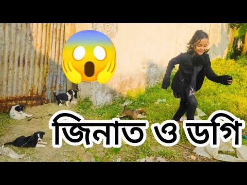 জিনাতকে ডগি কিভাবে তাড়া করল 😱Zeenat was chased by a dog