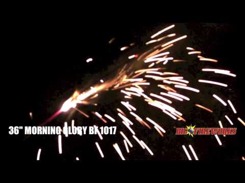 1017   36" MORNING GLORY SPARKLER