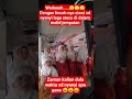 Viral Anak SD Nyanyi Stecu Di Dalam Mobil Shortvideo Shortsviral