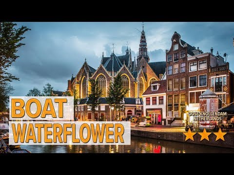Boat Waterflower hotel review | Hotels in Oost-Knollendam | Netherlands Hotels