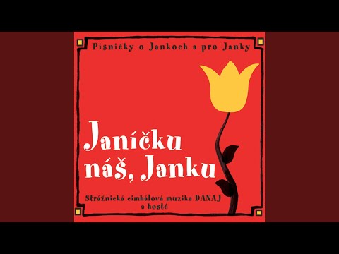 Na petrovských dolinách