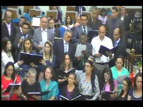 Coral Manain   19 11 2017