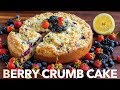 Frozen Mixed Berry Cake Free Download Clips Mp3 and Mp4