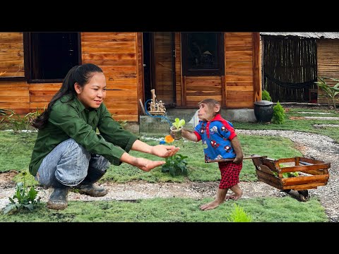 CUTIS smart helps mom take care of farm in a special way that surprises her