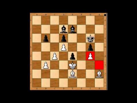 8.12. IM Marián Kantorík - WFM Kateryna Gorbatenko 1 - 0