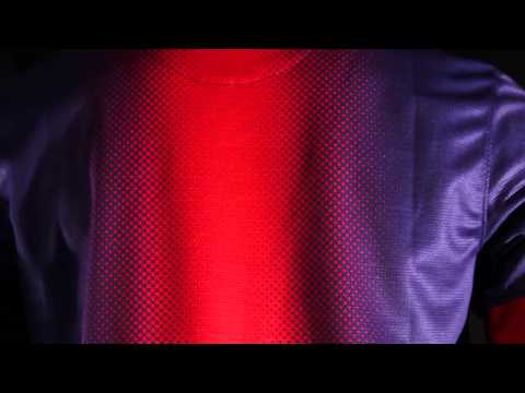 FC Barcelona 2012/2013