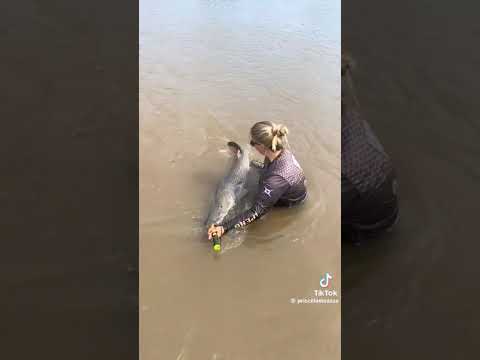 RIO BRILHANTE MATO GROSSO DO SUL