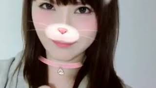 Download lagu かわいい猫 mp3 Download lagu かわいい猫 mp3