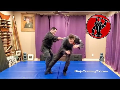 Hidari Seigan no Kamae, Moto Gata, Koto Ryu Koppojutsu