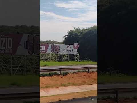 #viralvideo #de Araraquara para São Paulo #shorts #Brasil