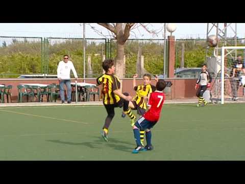 Partit Real Gandia & Tavernes, aleví, Saneamiento