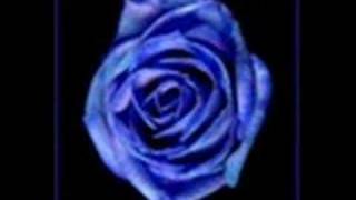 Early Winter- Gwen Stefani