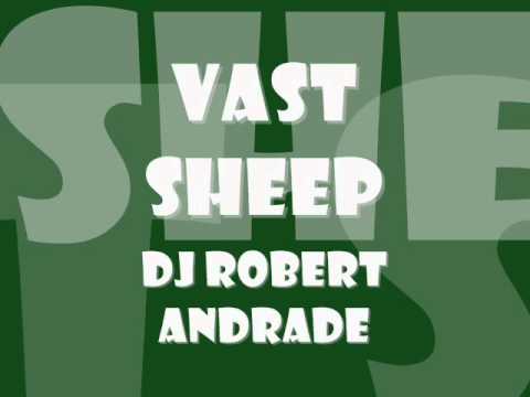 Robbert Anddrade  - Vast Sheep