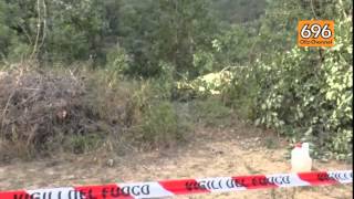 infermiere-muore-schiacciato-dalla-quercia-che-stava-tagliando