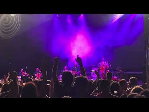 Ég az erdő | Kollár-Klemencz László @ Fishing on Orfű 2024