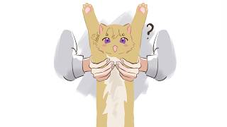 GOOOOOOOD MORNINGGGG... AFTERNOON???