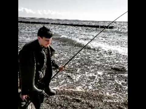 A U F . D E R . J A G D . @NGEE