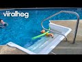 Corgi Swims With Pool Noodle Stabilizer ViralHog