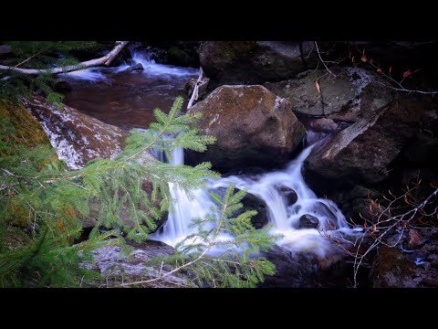Bayrischer Wald Steinklamm Spiegelau|Landschaft Natur Video|Drohnenaufnahmen