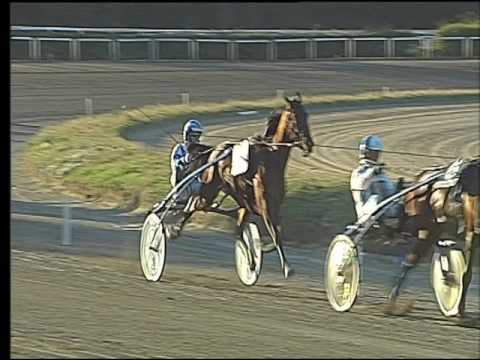 Trotto 03/03/2017 - 5ª corsa