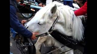 Happy Rhodes  -  Tragic