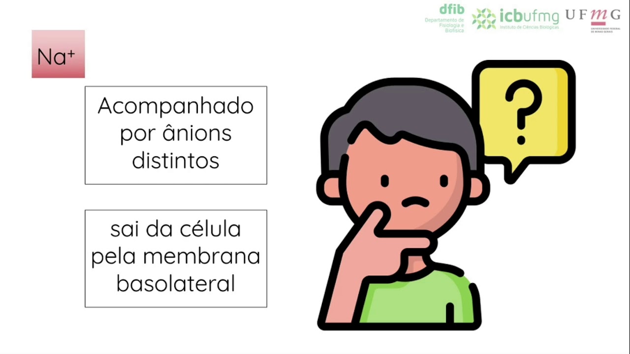 Fisiologia renal - Mecanismos de transporte no túbulo proximal