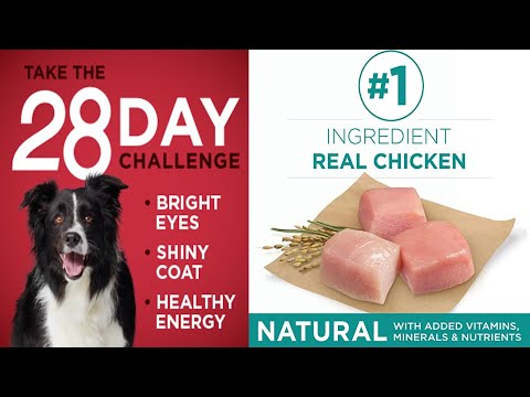 Purina ONE SmartBlend Natural Sensitive Systems - Digestive Health | Review 2020