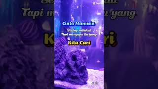 Download lagu Muhasabah diri #doa #zikir #dakwah #ceramah #shortsfeed #shorts mp3 Download lagu Muhasabah diri #doa #zikir #dakwah #ceramah #shortsfeed #shorts mp3