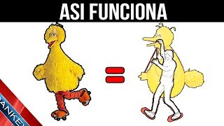 ¿COMO FUNCIONAN LAS COSAS?