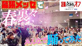 【踊オフ公式】幕張に集まったみんなで『春裏々』踊ってみた【ニコニコ超会議2026】