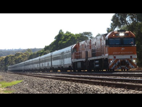 The Great Southern, 442s1 leads SSR Grain & More on the North East & Western Mainline’s!