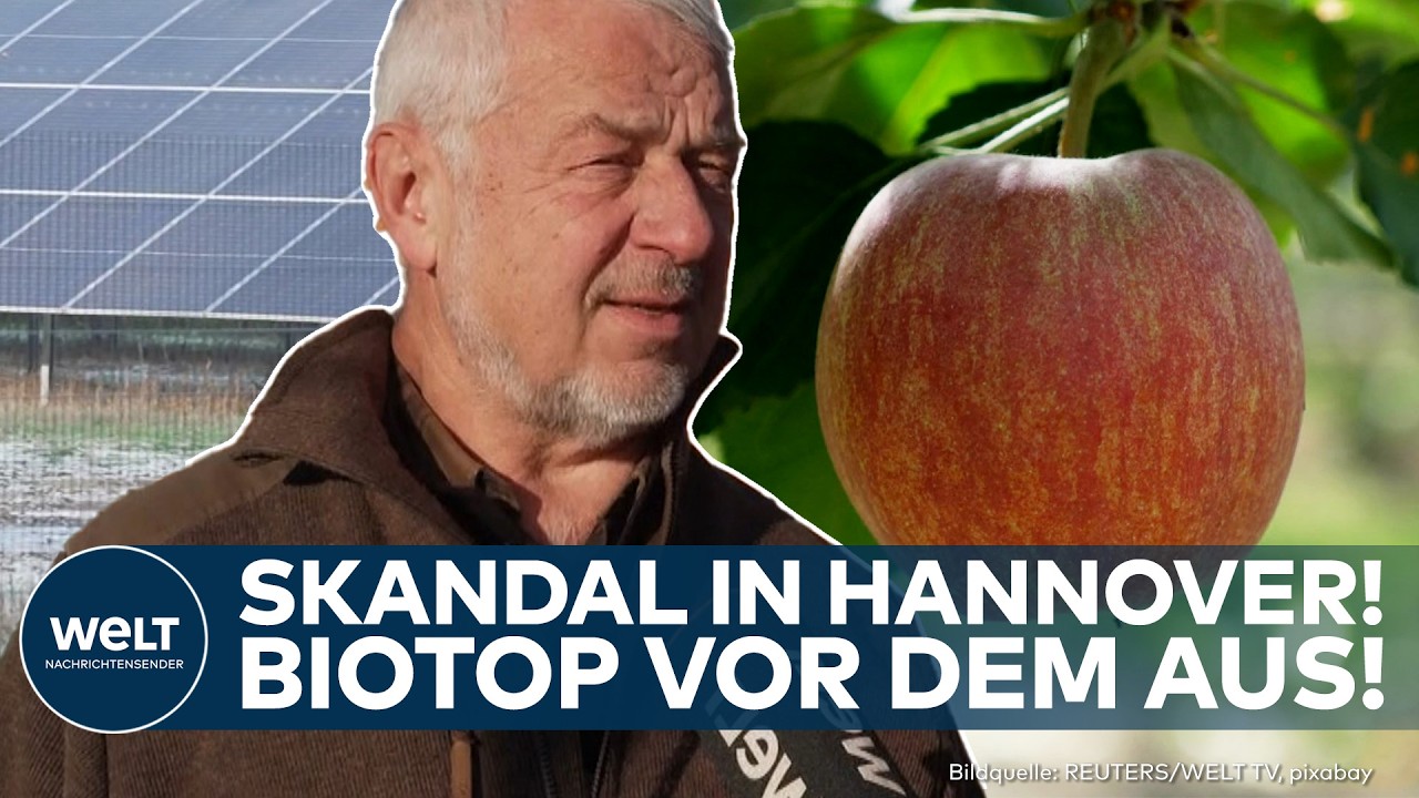 UNI HANNOVER: Bagger gegen Bäume! Uni will Biotop durch Solarpanels ersetzen!