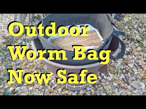 Outdoor worm bin's protection is working - vermicomposting