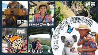 【ケアンズ郊外】一日密着！！キュランダ観光【観光施設とテイクアウトの食事】/12歳/コアラ抱っこ・スカイレール・バタフライサンクチュアリ―・カンガルー