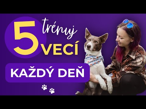 5 VECÍ, ktoré by si mal so psom cvičiť každý deň