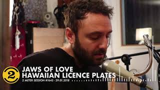Jaws of Love - Hawaiian Licence Plates | 2 Meter Session #1643