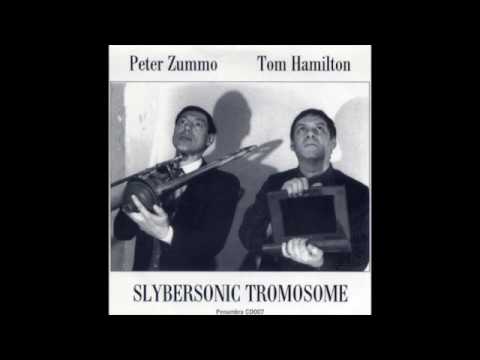 Peter Zummo + Tom Hamilton - Raging Ions