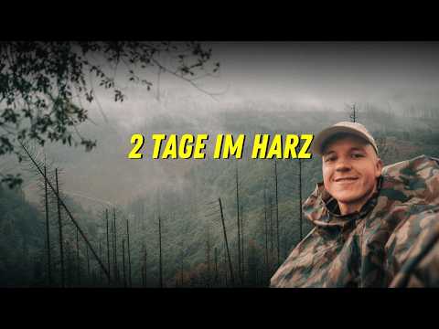 Overnight im Harz: 2 Tage Nebel & Regen I Schutzhütte und Wandernadel
