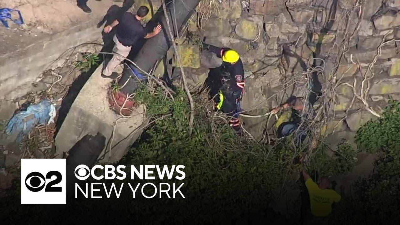 Dog rescued after falling off cliff in New Jersey