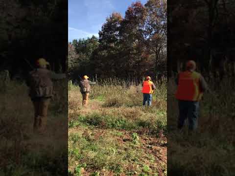 download lagu mp3 mp4 Upland Obliterated, download mp3 Upland Obliterated free downloadn, video klip Upland Obliterated